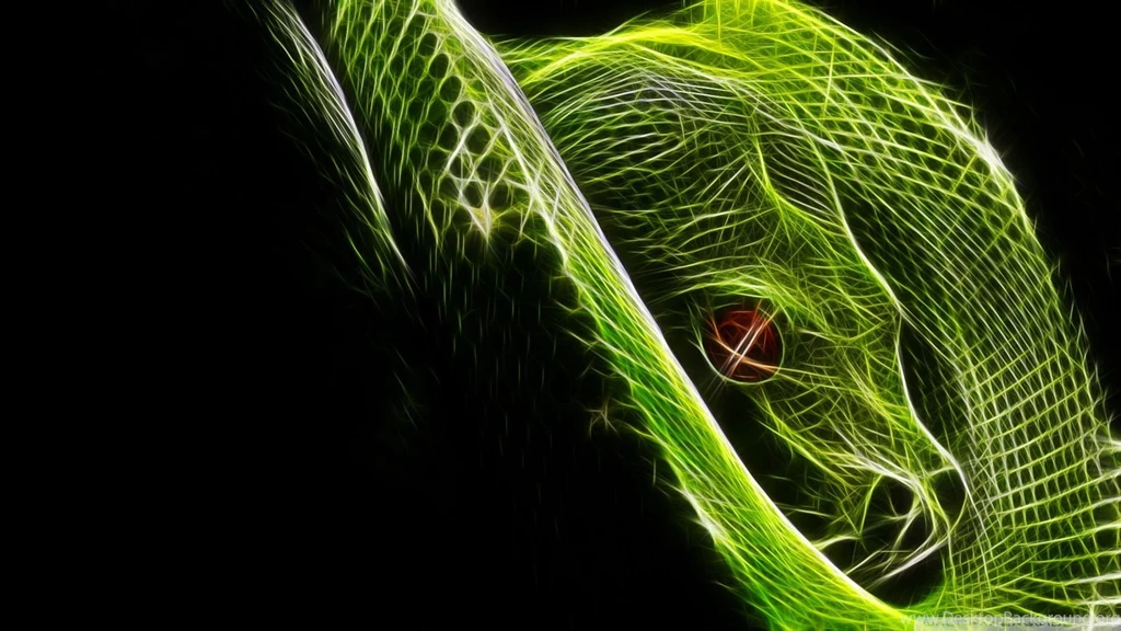 Colorfull Animal Cool Wallpapers 3d