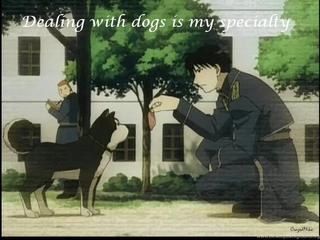 Roy Mustang8   Roy Mustang Wallpapers (9979262)   Fanpop