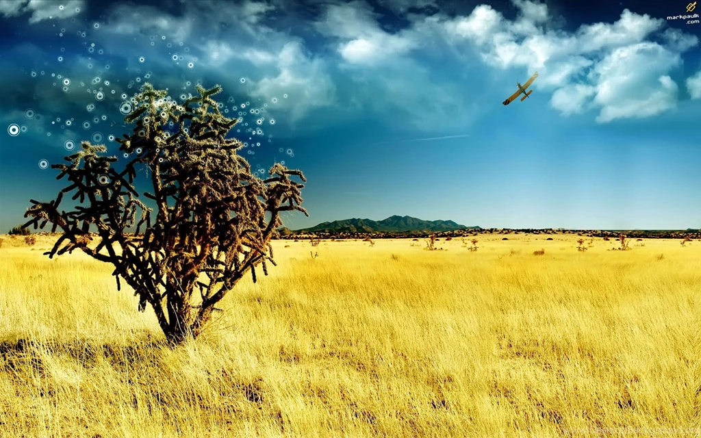 High Definition Wallpapers