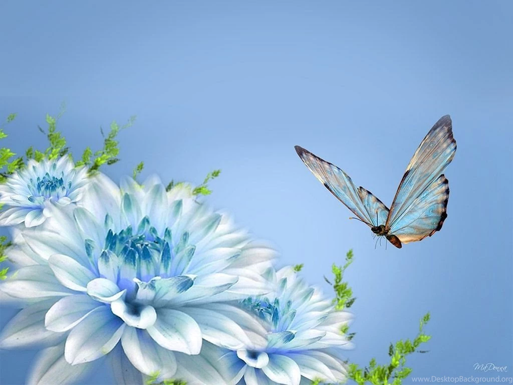 Wallpaperlite.com
