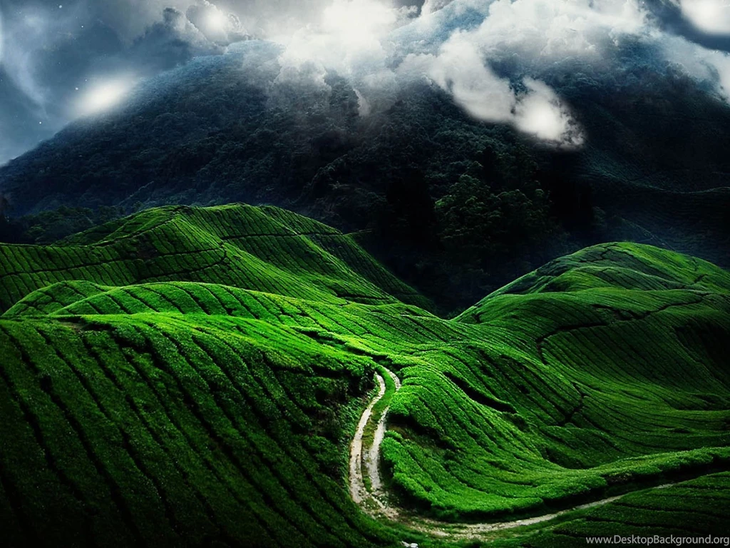 Beautiful Nature Landscape Wallpapers Free Down