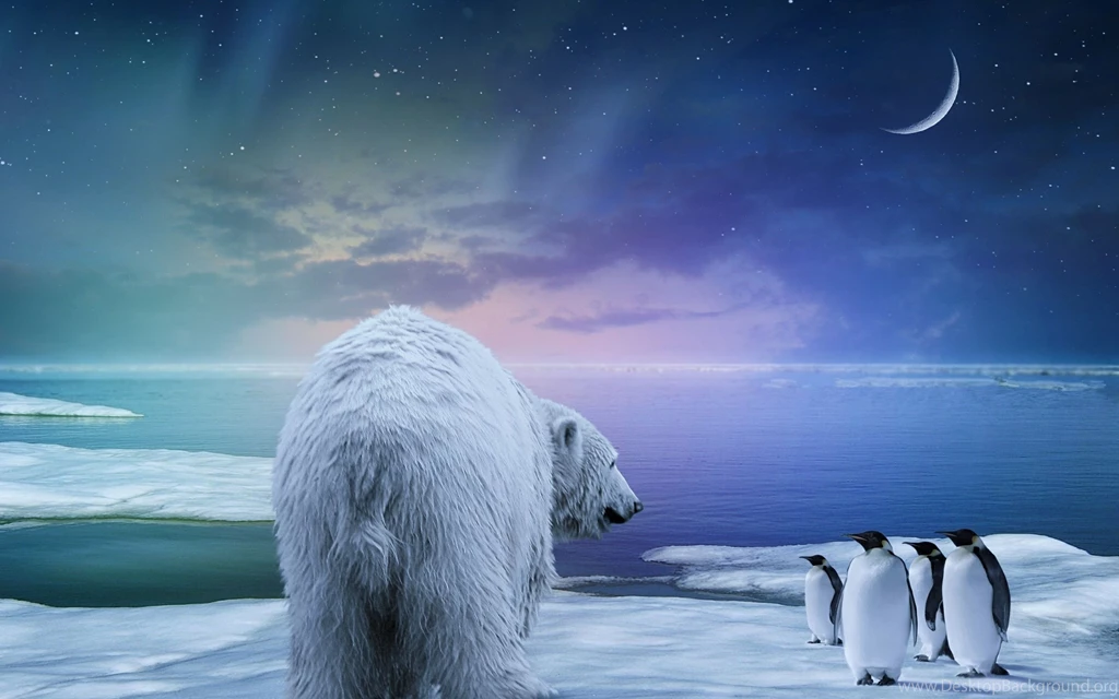 Ultra HD 4K Northern Lights Wallpapers HD, Desktop Backgrounds ...
