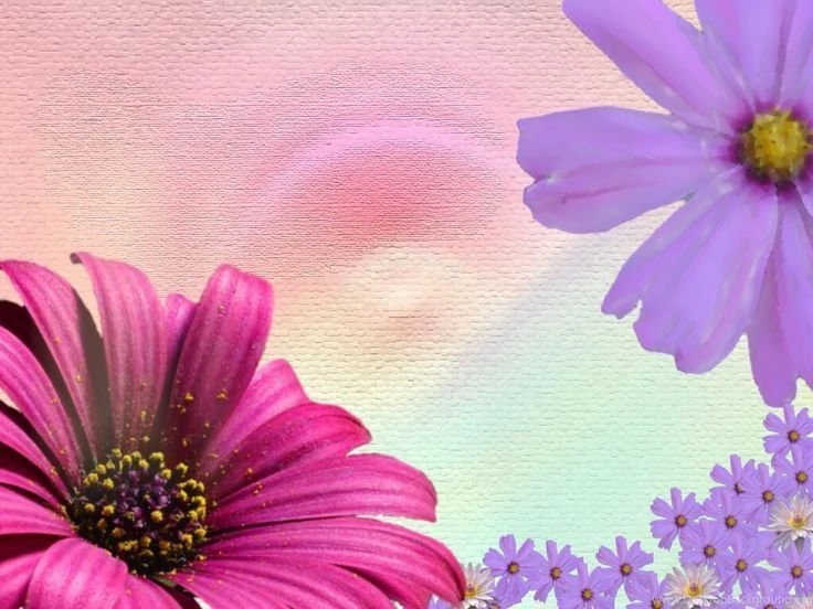 Pink And Purple Flowers
