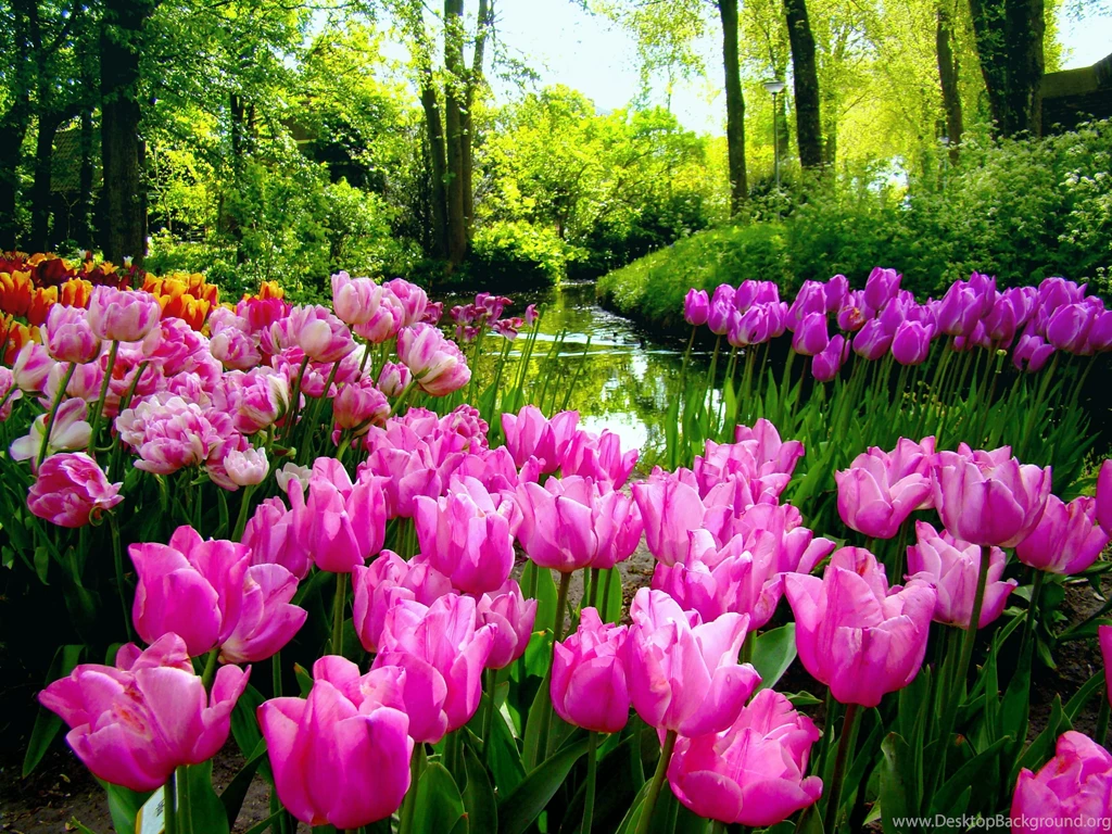 Spring Garden Desktop Wallpapers HD Wallpaper Backgrounds Of ...