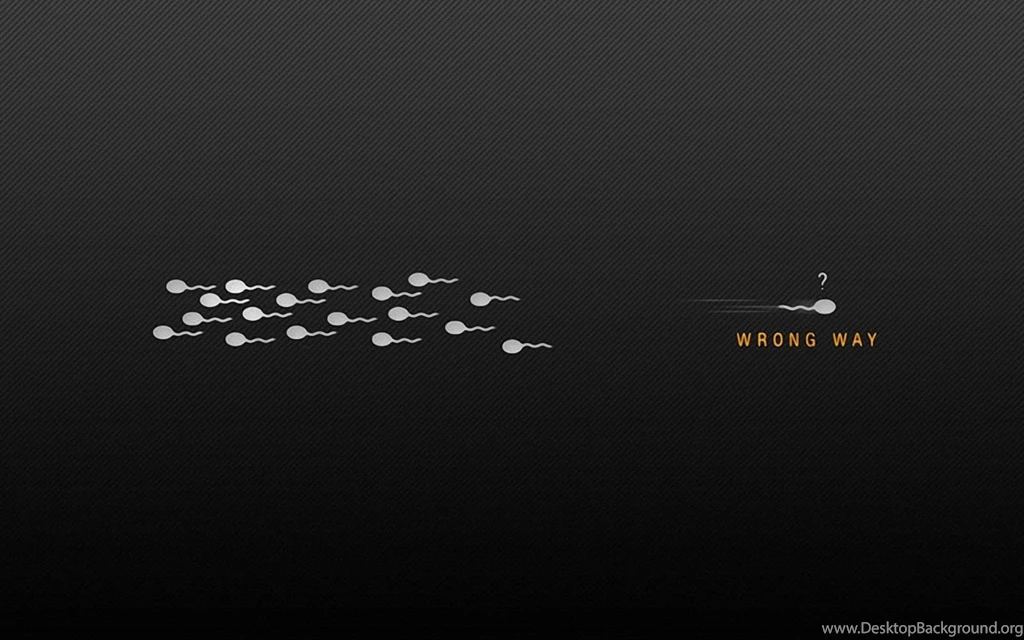 Awesome Collection Of 55+ Funny Wallpapers