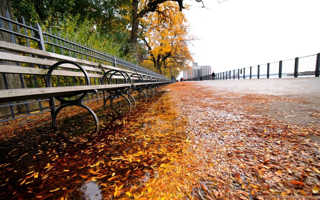 Autumn In New York Wallpapers 648040