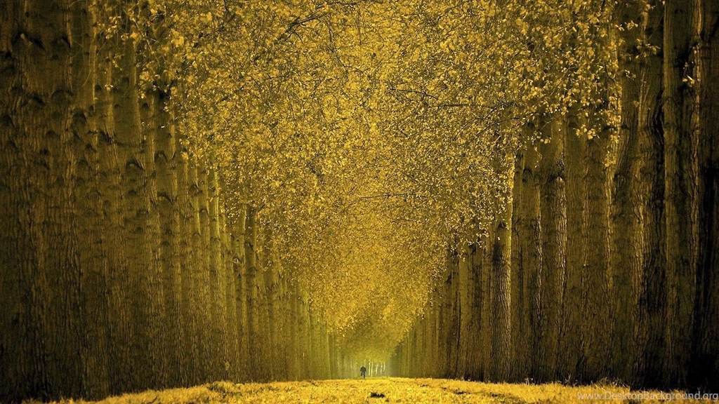 Autumn Wallpapers For Computer Wallpapers Online