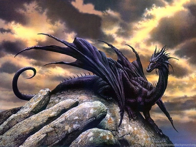 Black Dragon On A Rock Wallpapers   Dragons