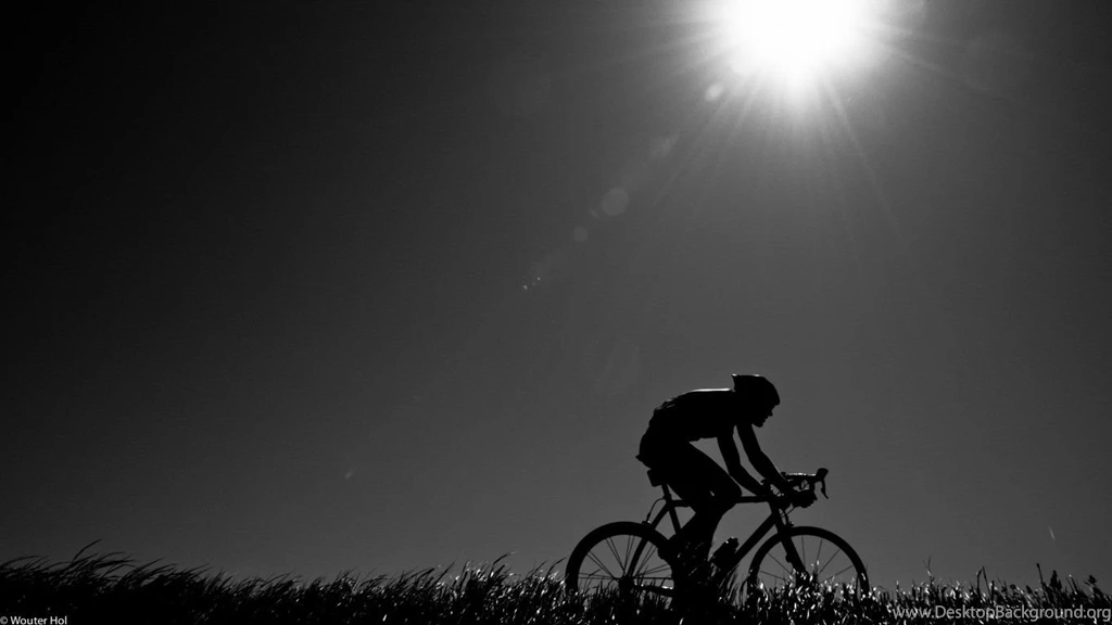 Download Wallpapers Evening, Athletic, Cyclist, Road Bike, Nature ...