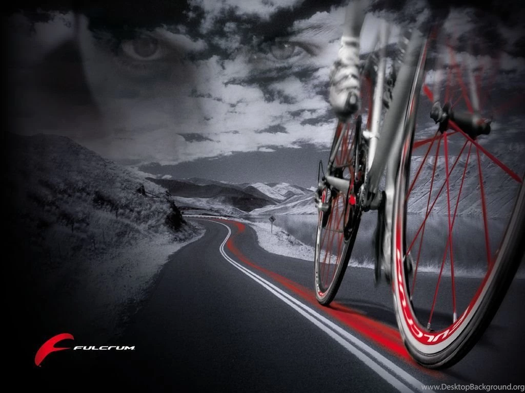 Specialized HD