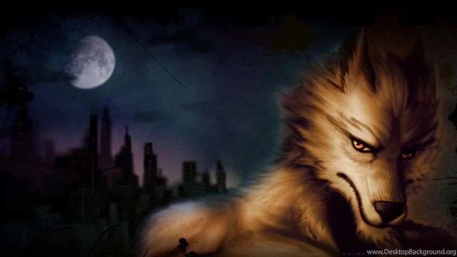 Wolf Wallpapers 1920x1080px By Saimensez On DeviantArt