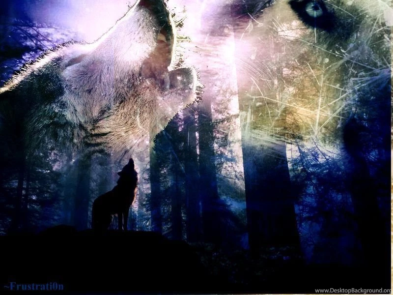 Wolf Wallpapers By Frustrati0n On DeviantArt
