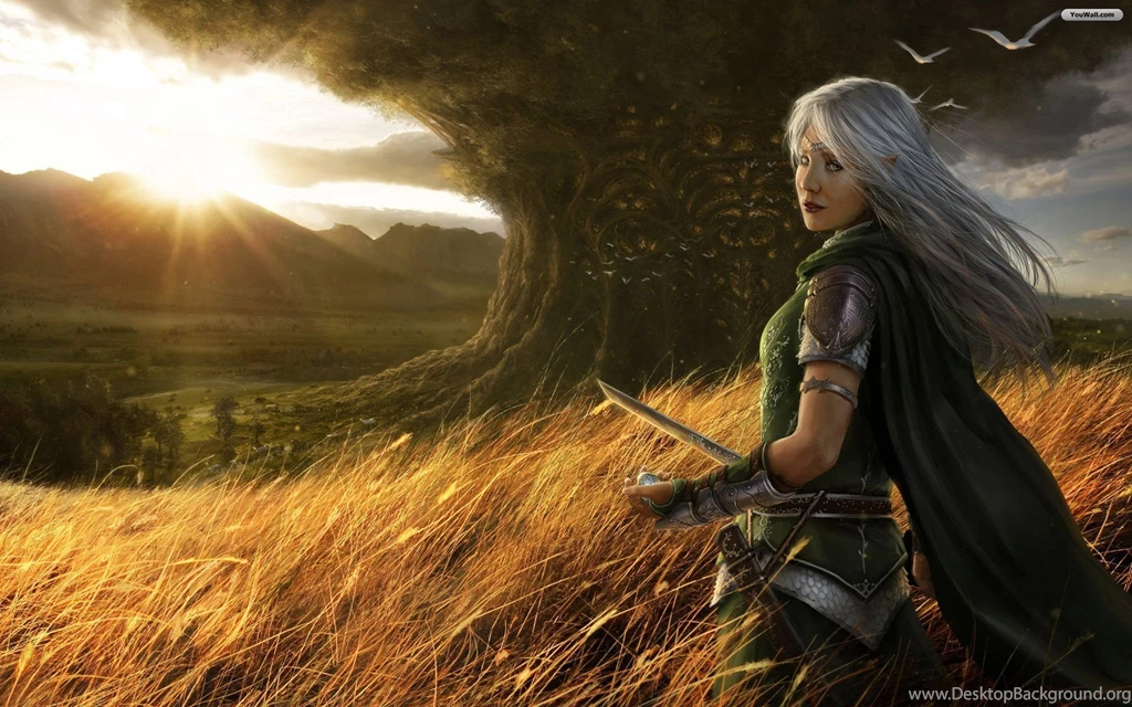 YouWall Warrior Wallpapers Wallpaper,wallpapers,free Wallpapers ...