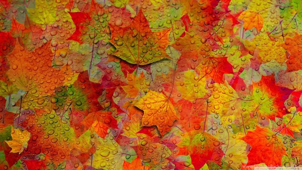 Fall HD Desktop Wallpapers : Widescreen : Fullscreen : Mobile ...