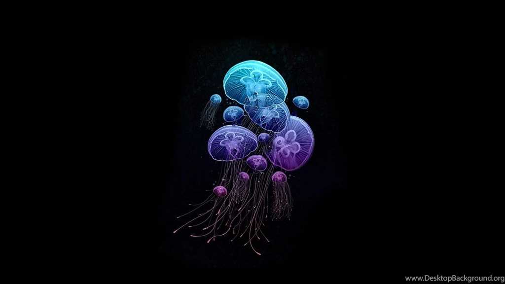 Jellyfish Artwork Wallpapers