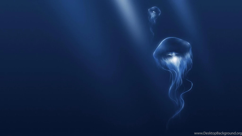 Jellyfish Wallpapers High Resolution For Phone 42464 Full HD ...