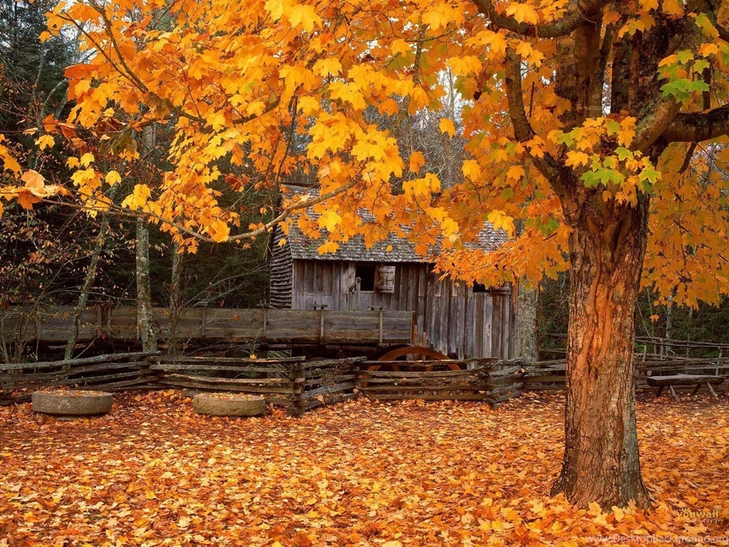 3d Fall Wallpapers