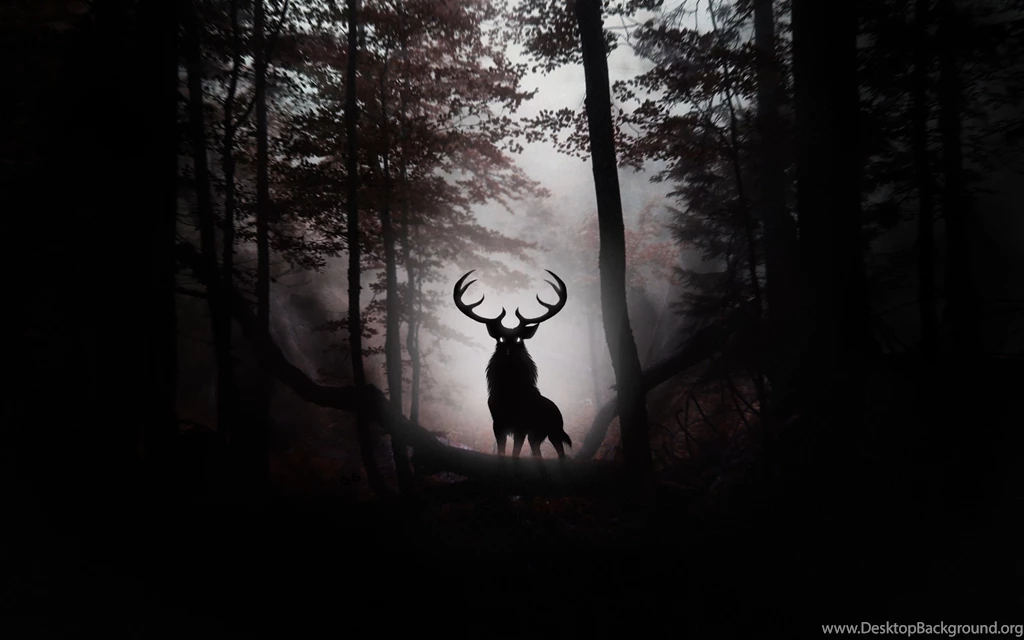 Deer Wallpapers HD   Wallpapernine.com