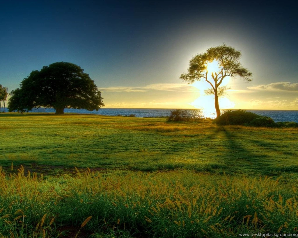 The Morning Sun HD Desktop Wallpapers 1280x1024 Hd Desktop ...