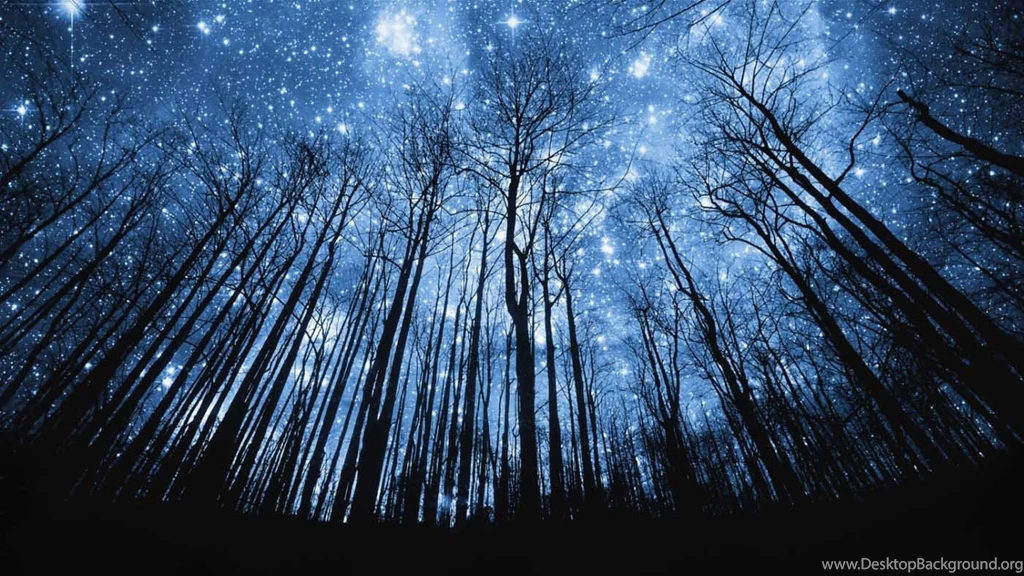 Beautiful Starry Night Desktop Wallpapers In HD