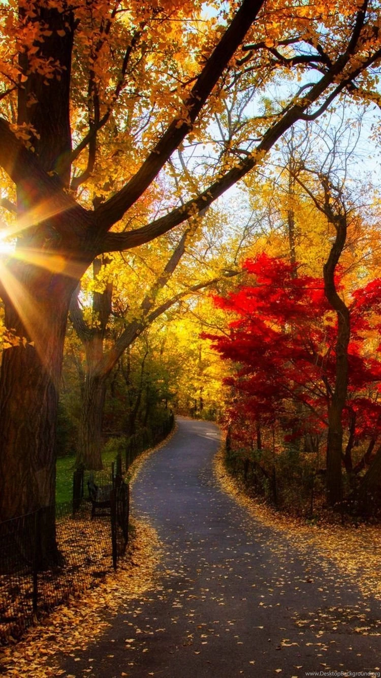 iPhone 6 Autumn Wallpapers HD, Desktop Backgrounds 750x1334
