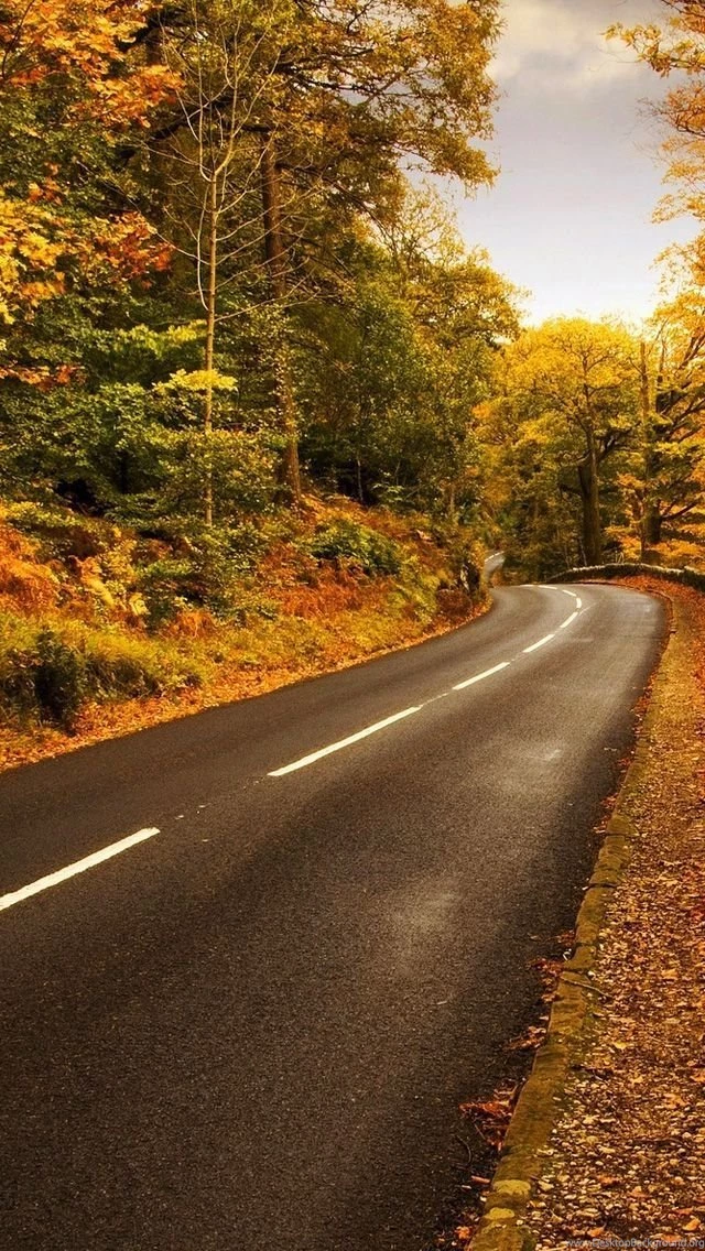 Autumn iPhone 5s Wallpapers