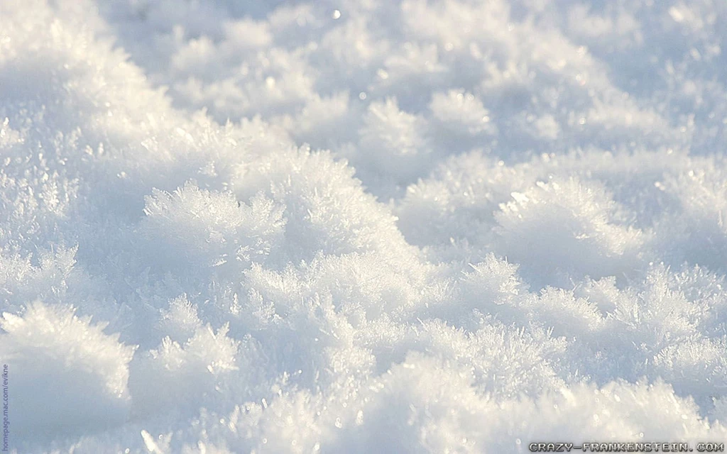 Winter Snow Wallpapers Crazy Frankenstein