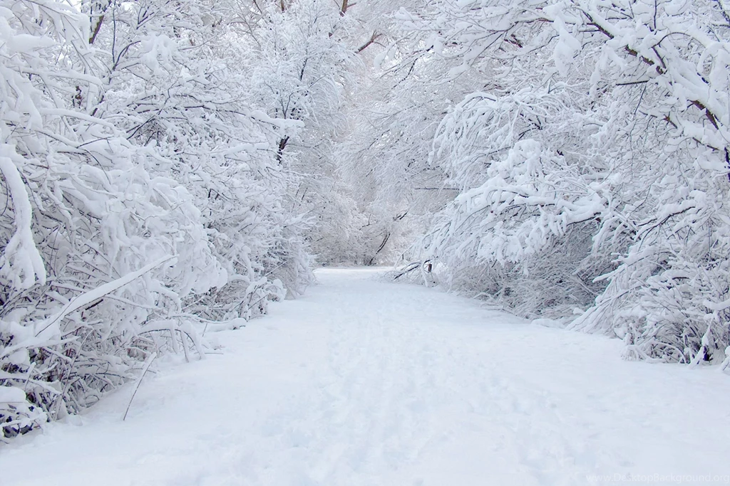 Snow Wallpapers, Desktop Wallpapers » GoodWP.com