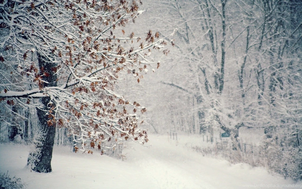 Winter Snow Wallpapers