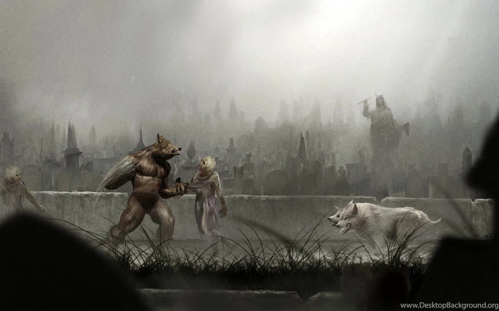 Castlevania Wallpapers And Images   Wallpapers, Pictures, Photos