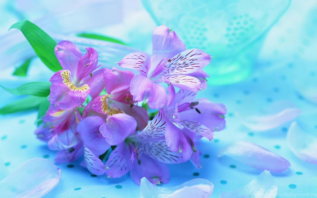 Gallery For Free Computer Flower Wallpapers
