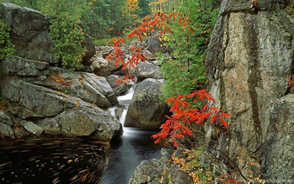 Gallery For Free High Resolution Nature Wallpapers