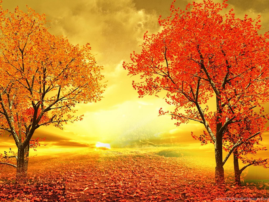 Wallpaperlite.com