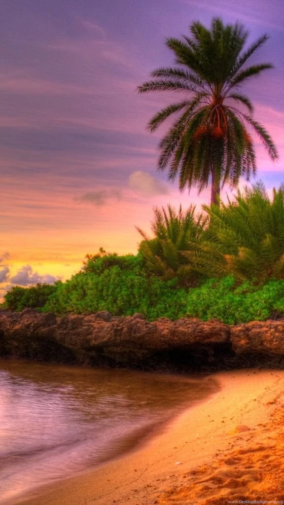 Best iPhone 5c Wallpapers HD 2 576x1024.jpg