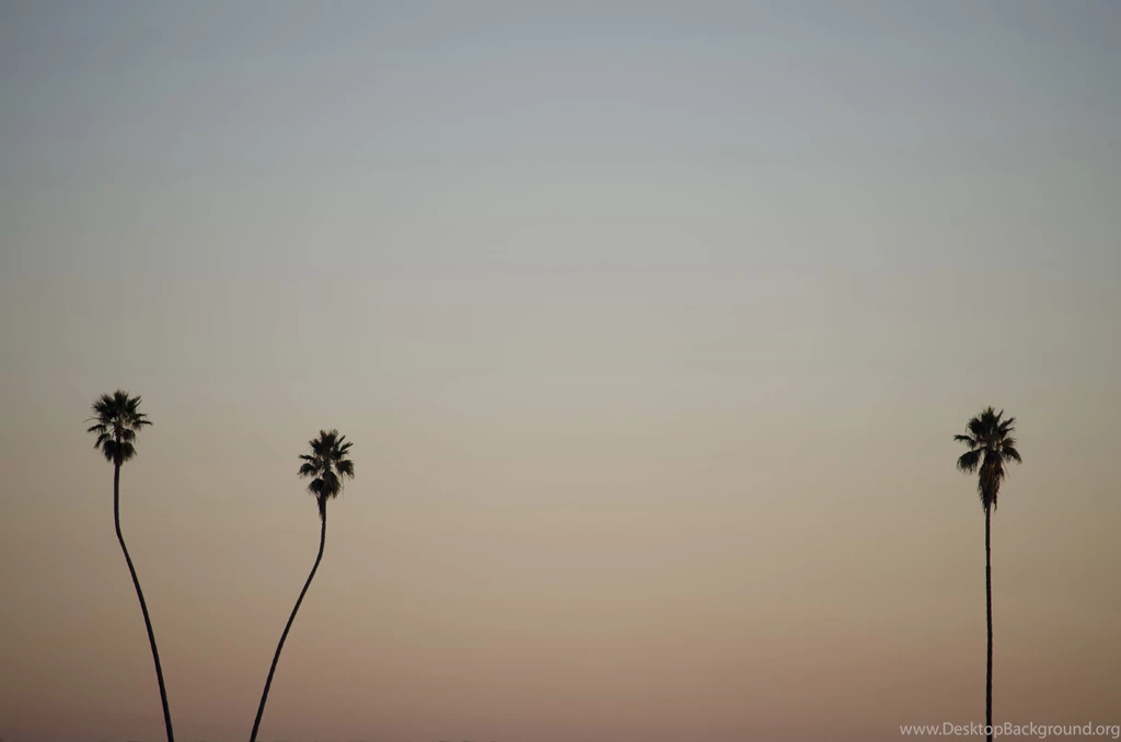 Minimalist Mac Desktop With Minimalist Icon Set And Live Wallpapers ...