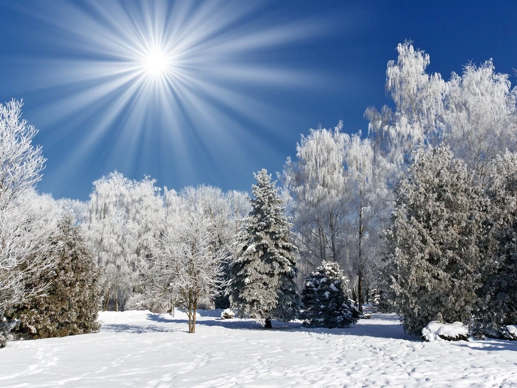 Gallery For Free Winter Landscape Wallpapers Desktop