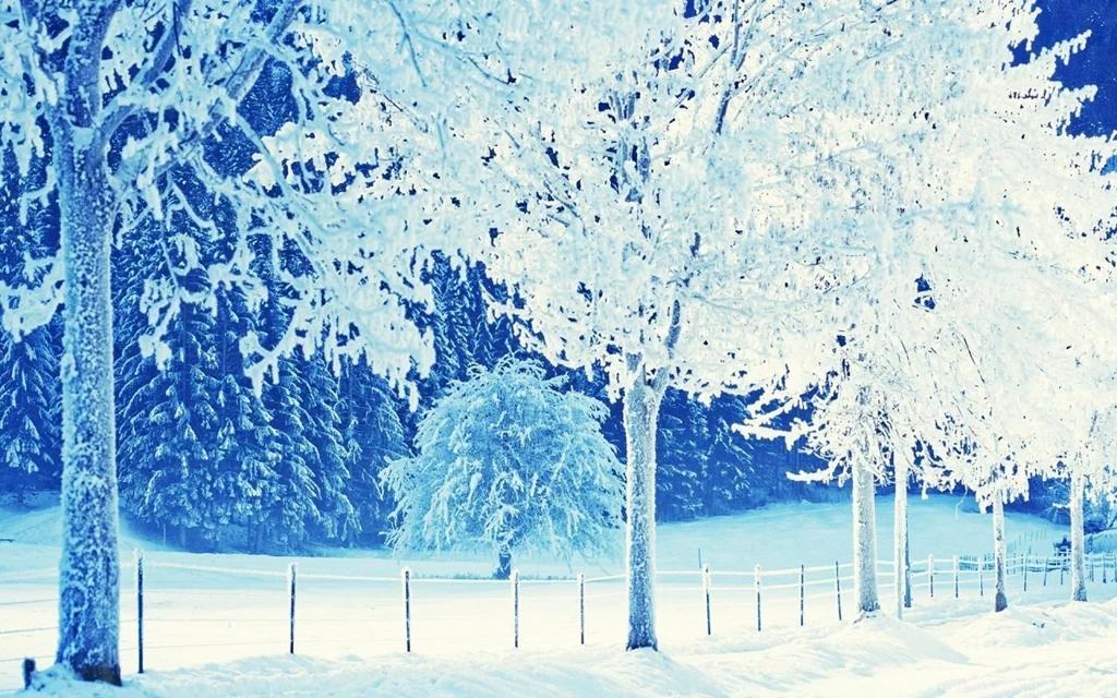 HD Winter Backgrounds: Beautiful By Free Download Best HD ...