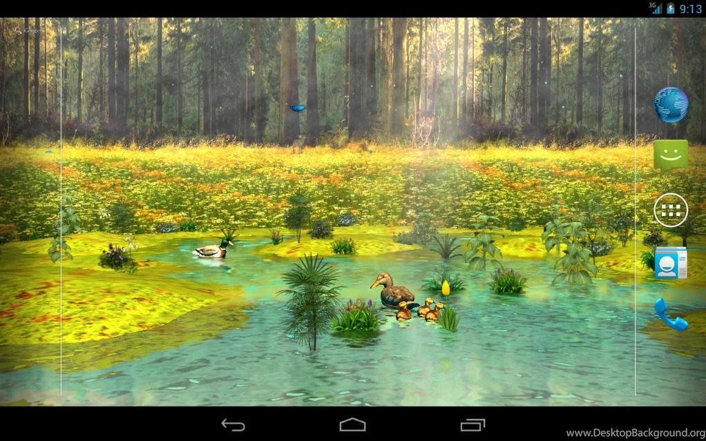 Ducks 3d live wallpaper full 6de6bf h900.jpg