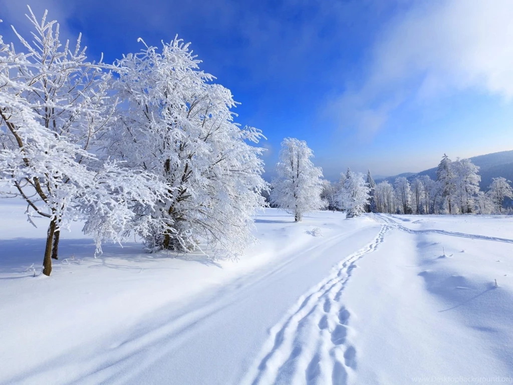 1600x1200 Road Winter Wallpapers