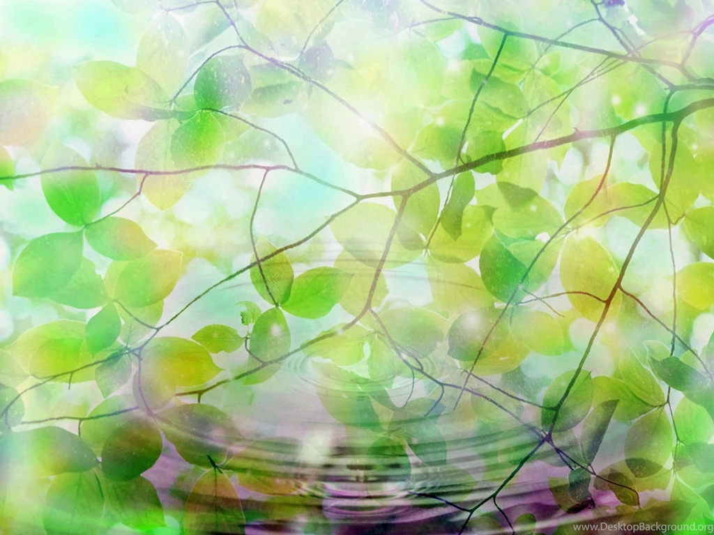 Summer Computer Backgrounds