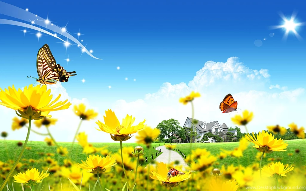 Summer Dreamland Wallpapers Hq Backgrounds Hd Wallpapers Gallery ...