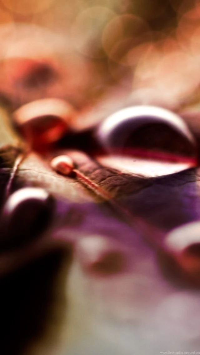 Fall Wallpapers For iPhone 5