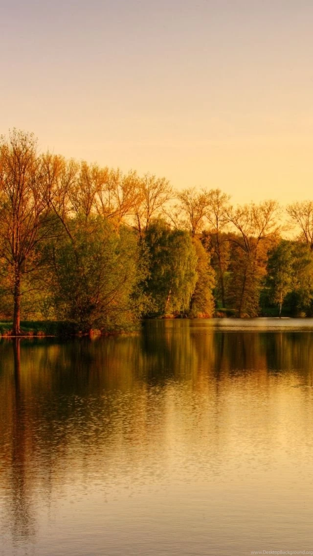 Park Lake Autumn iPhone 5s Wallpapers Download