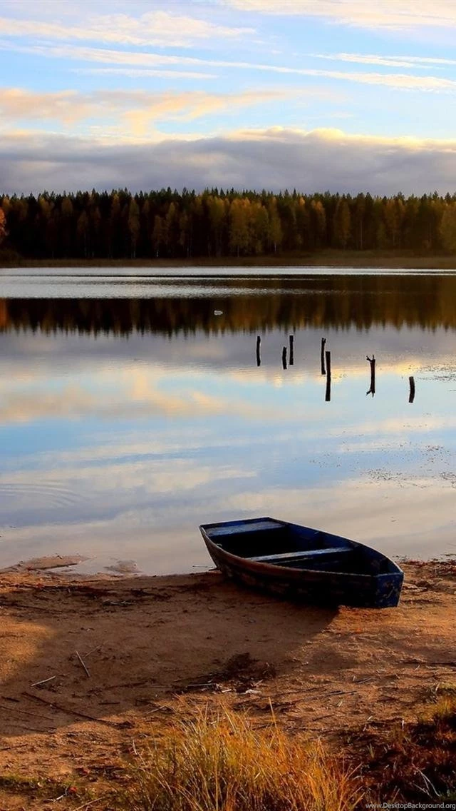 Iphone 5 wallpapers hd 2848 4i6mf.jpg