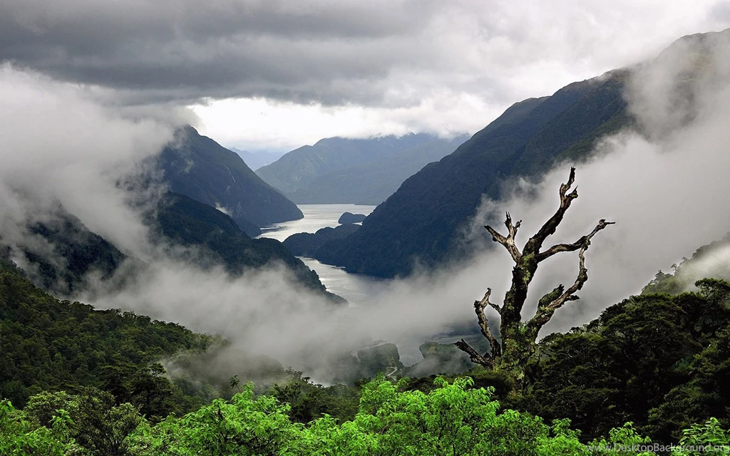 Gallery For High Resolution Hd Widescreen Wallpapers