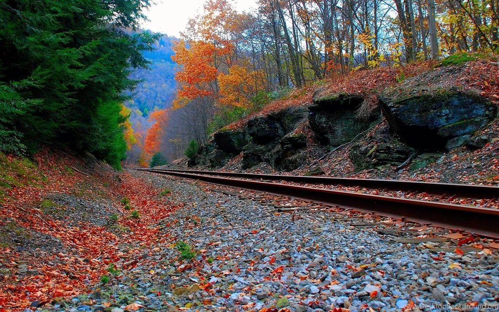 Hd Desktop Wallpapers 1920x1200 Hd Widescreen Wallpapers