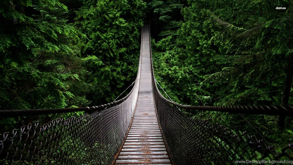 Jungle Bridge Wallpapers Artistic Wallpapers