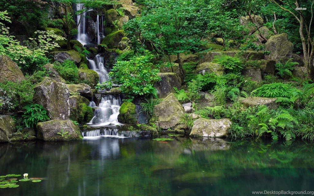 Jungle Waterfall Wallpapers Free