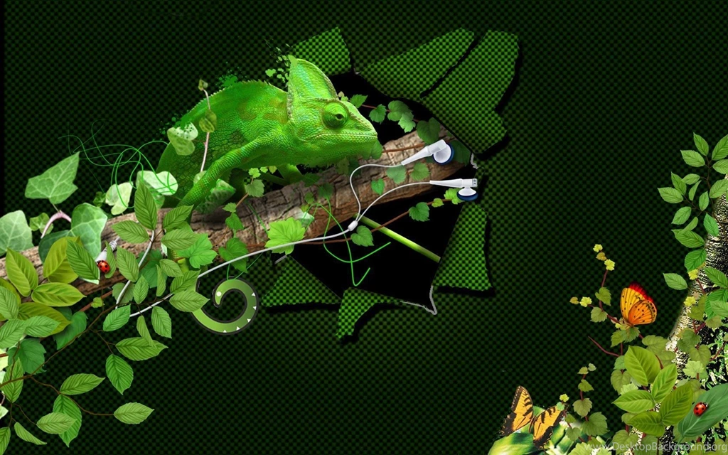 Gallery For Audio Jungle Wallpapers Gratis