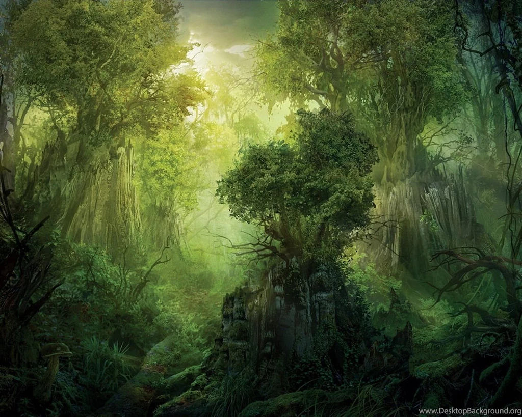 Gallery For Jungle Wallpapers